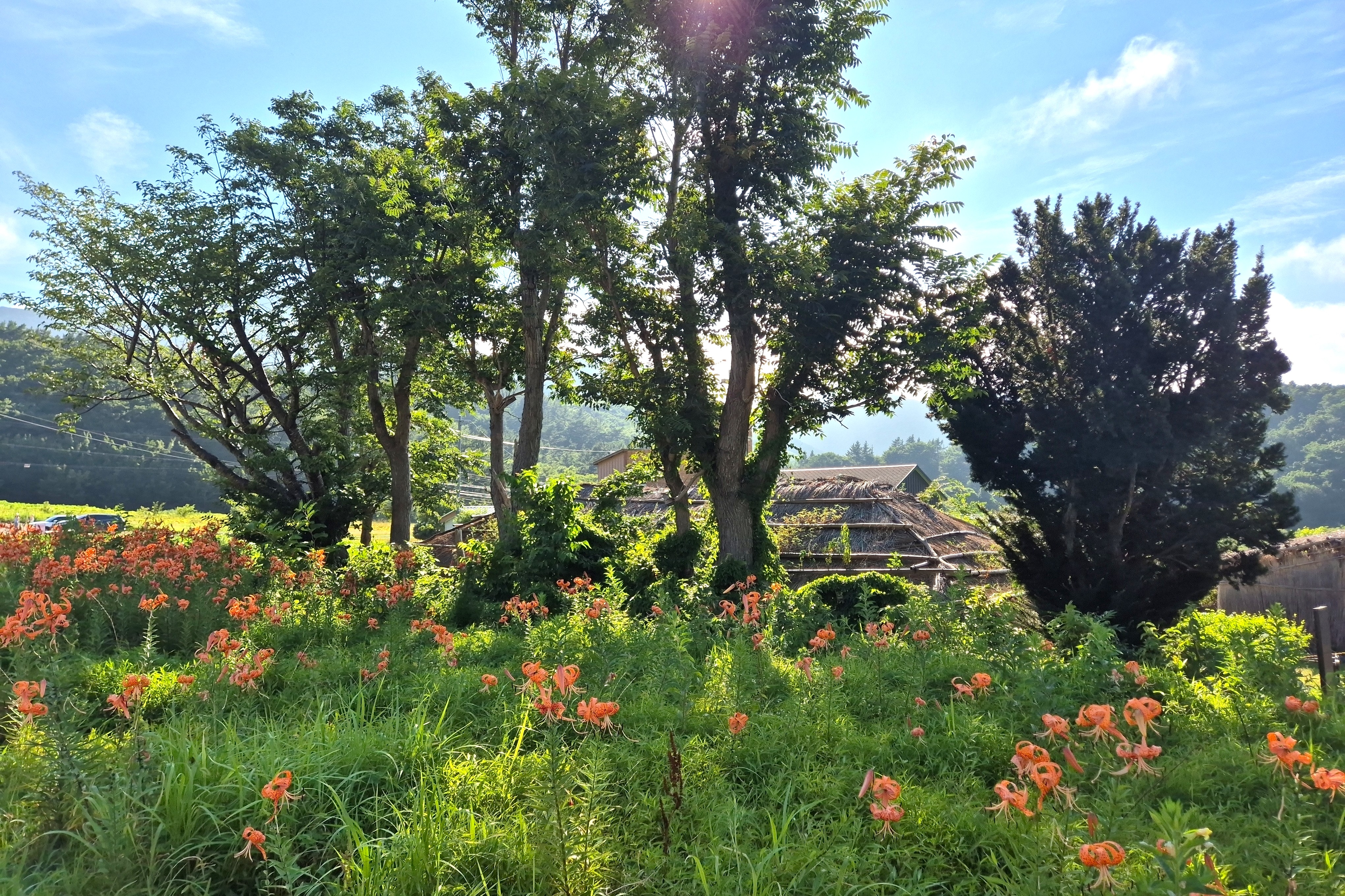 나리마을 풍경 1