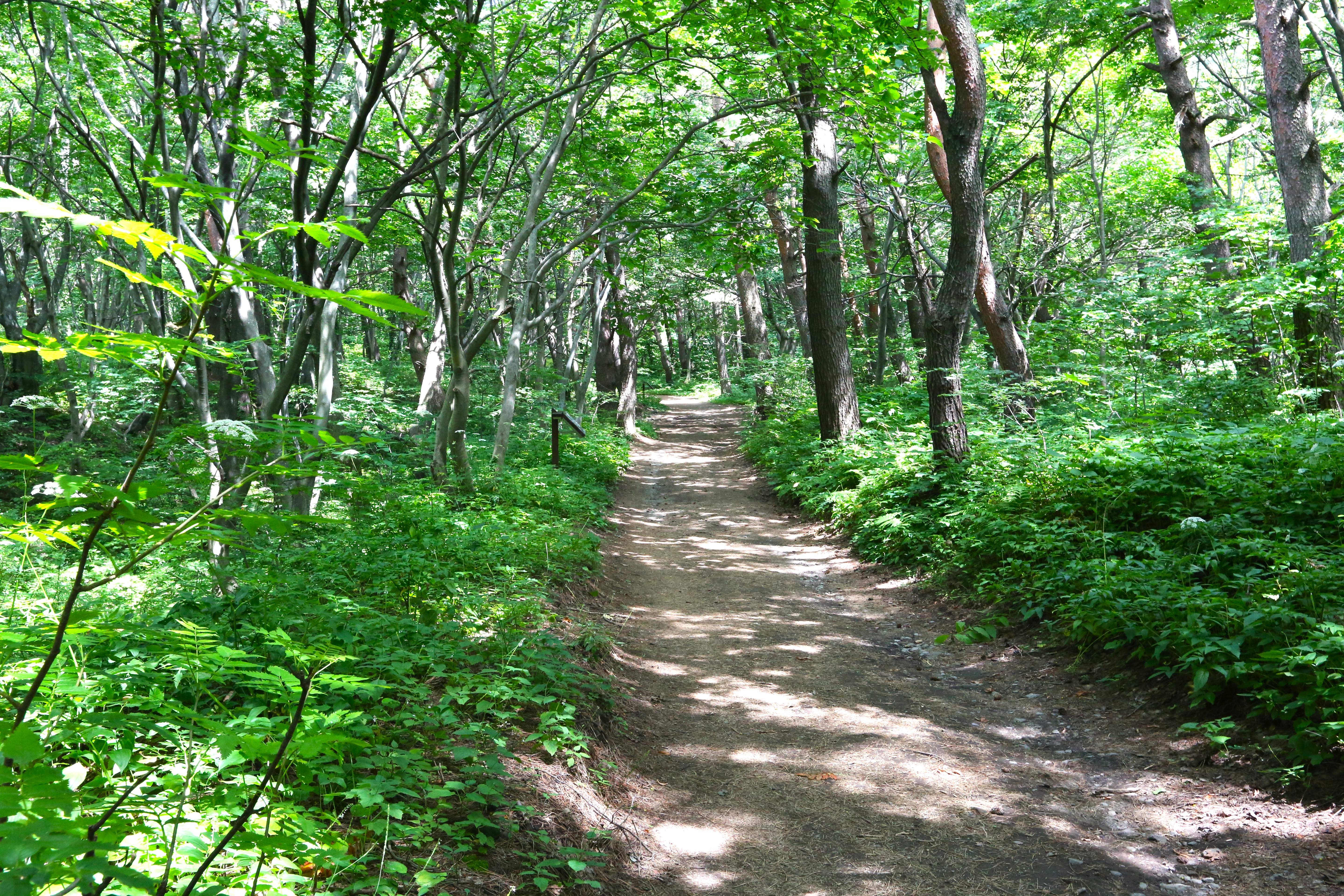 나리마을 풍경 2