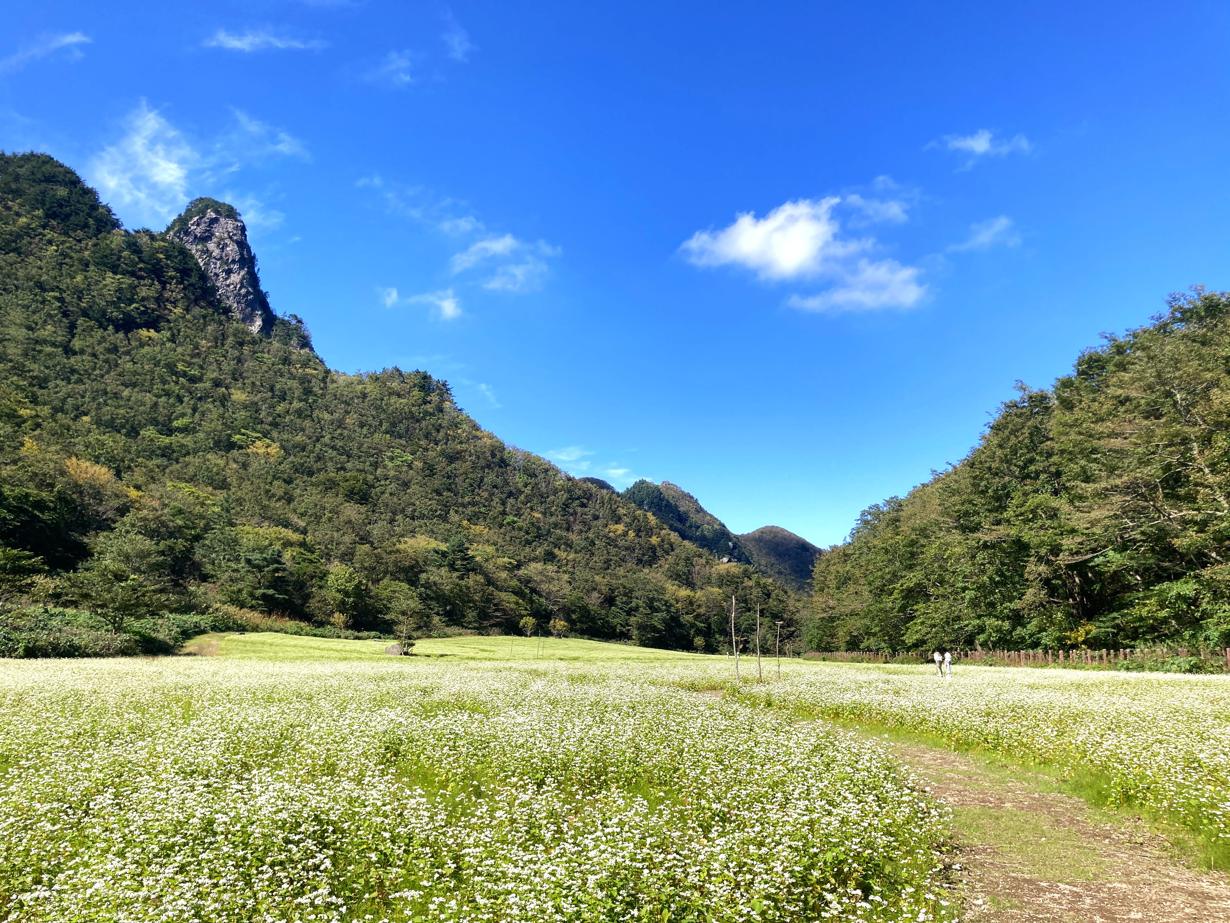 나리마을 풍경 3